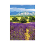 Provence, képes falinaptár 2027