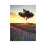 Provence, képes falinaptár 2027