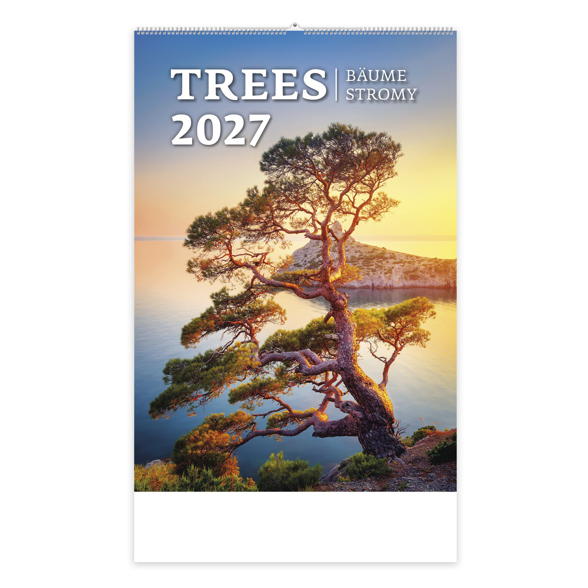 Trees, képes falinaptár 2027 Trees, képes falinaptár 2027