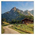 Alps, képes lemeznaptár 2027