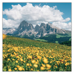 Alps, képes lemeznaptár 2027