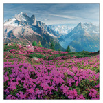 Alps, képes lemeznaptár 2027