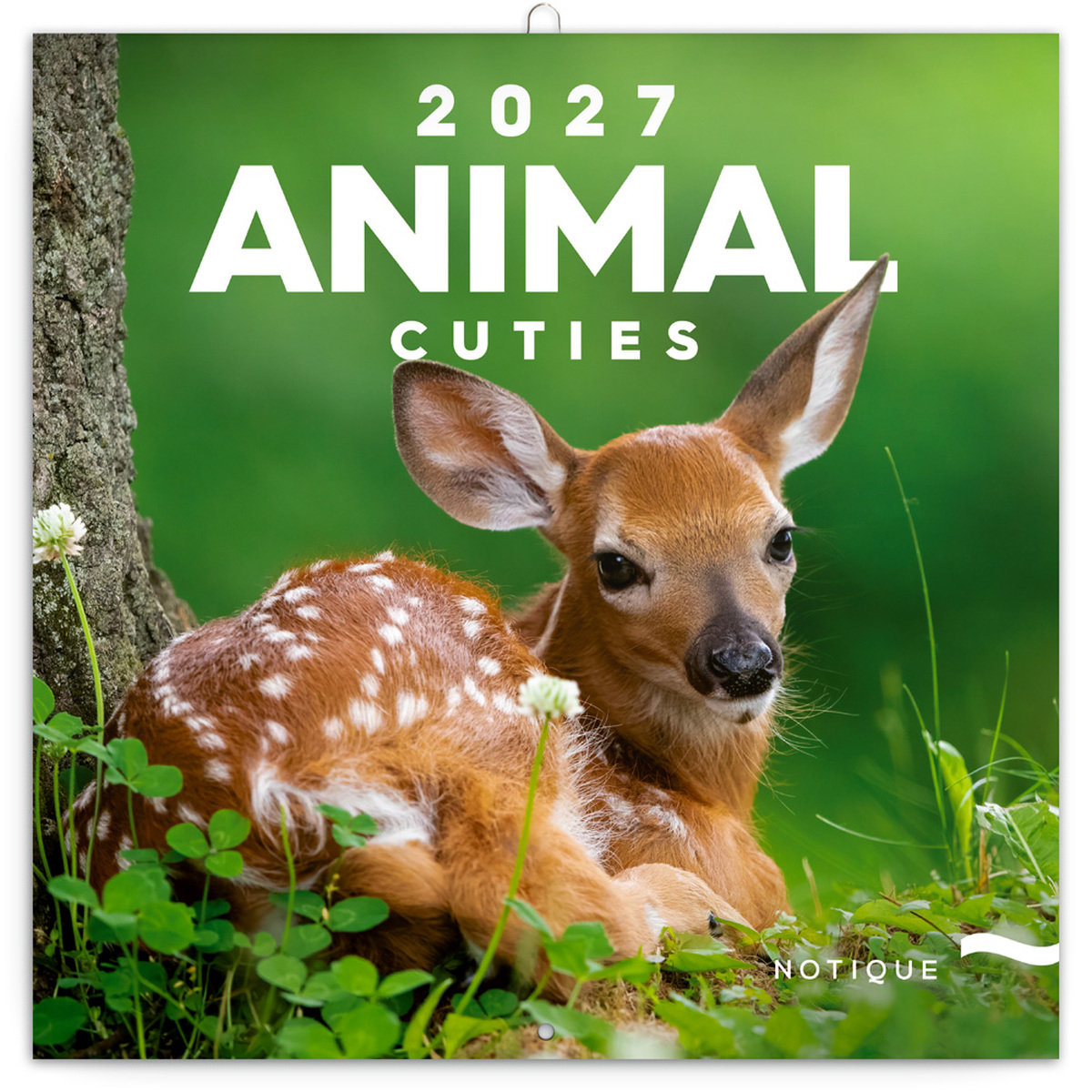Animal Cuties, képes lemeznaptár 2027 Animal Cuties, képes lemeznaptár 2027