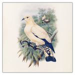 Birds in Art, képes lemeznaptár 2027