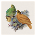 Birds in Art, képes lemeznaptár 2027