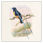 Birds in Art, képes lemeznaptár 2027