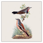 Birds in Art, képes lemeznaptár 2027