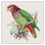 Birds in Art, képes lemeznaptár 2027
