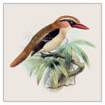 Birds in Art, képes lemeznaptár 2027