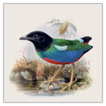 Birds in Art, képes lemeznaptár 2027