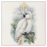 Birds in Art, képes lemeznaptár 2027