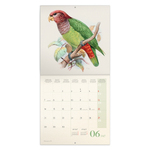 Birds in Art, képes lemeznaptár 2027