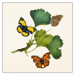 Butterflies, képes lemeznaptár 2027