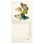 Butterflies, képes lemeznaptár 2027