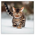 Cats, képes lemeznaptár 2027