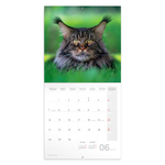 Cats, képes lemeznaptár 2027
