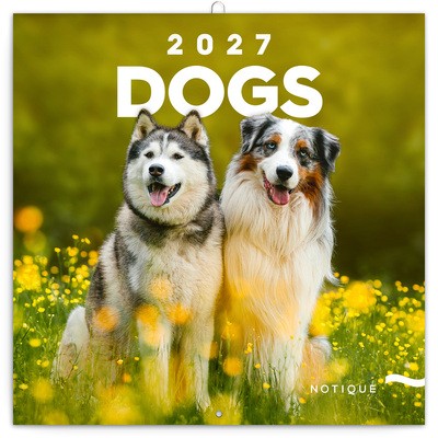 Dogs, képes lemeznaptár 2027