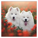 Dogs, képes lemeznaptár 2027