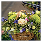 Flowers, képes lemeznaptár 2027