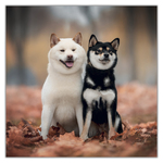 Happy Doge, képes lemeznaptár 2027 Happy Doge, képes lemeznaptár 2027