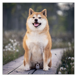 Happy Doge, képes lemeznaptár 2027 Happy Doge, képes lemeznaptár 2027