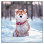 Happy Doge, képes lemeznaptár 2027 Happy Doge, képes lemeznaptár 2027
