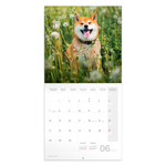 Happy Doge, képes lemeznaptár 2027 Happy Doge, képes lemeznaptár 2027