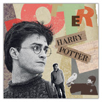 Harry Potter, képes lemeznaptár 2027