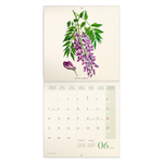 Herbarium, képes lemeznaptár 2027