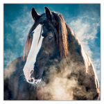Horses - Christiane Slawik, képes lemeznaptár 2027