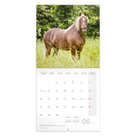 Horses - Christiane Slawik, képes lemeznaptár 2027