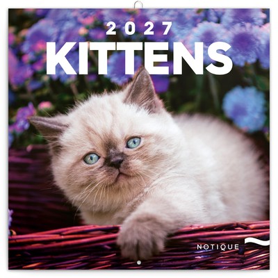Kittens, képes lemeznaptár 2027