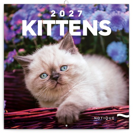 Kittens, képes lemeznaptár 2027