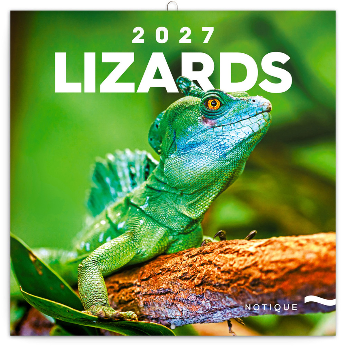 Lizards, képes lemeznaptár 2027 Lizards, képes lemeznaptár 2027