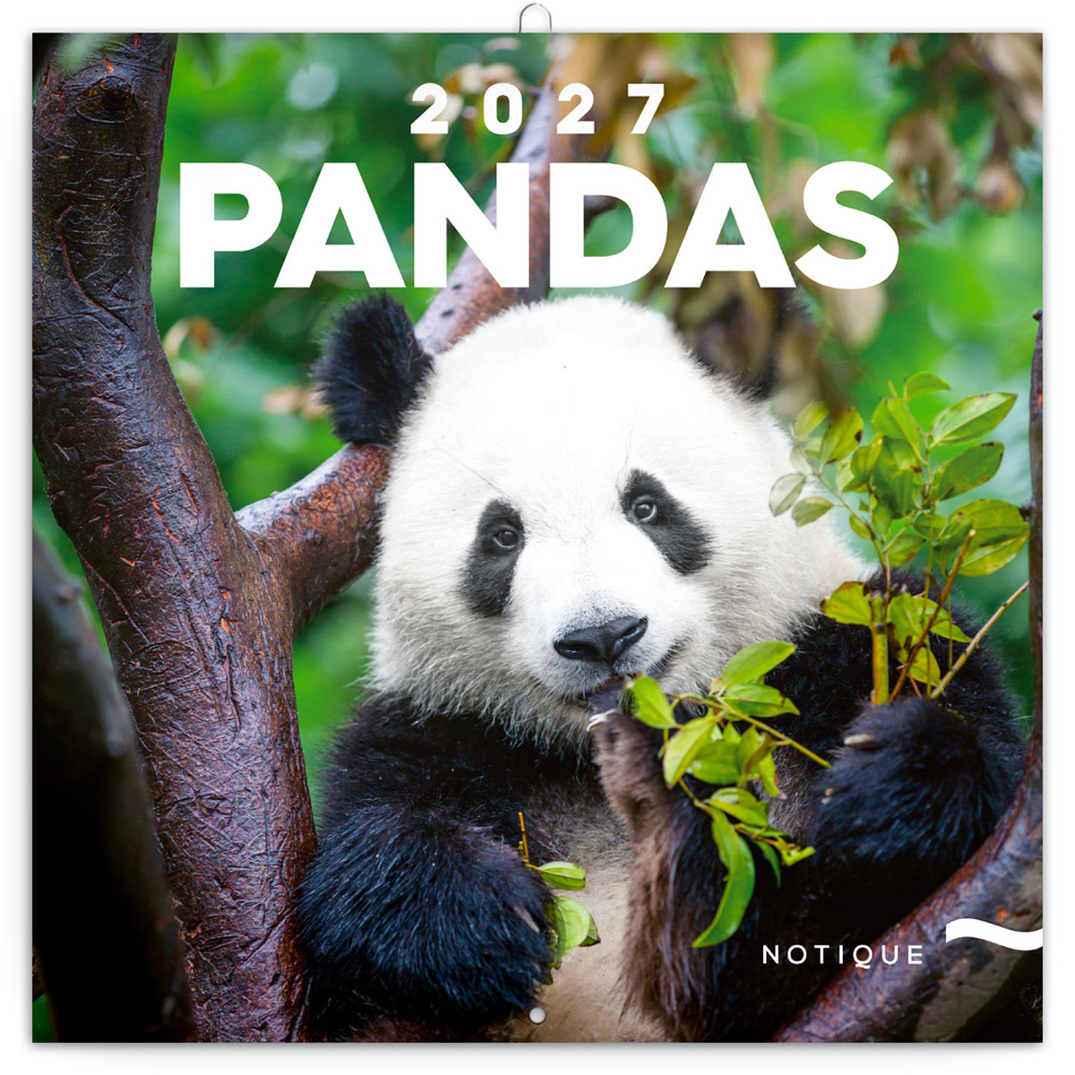 Pandas, képes lemeznaptár 2027 Pandas, képes lemeznaptár 2027