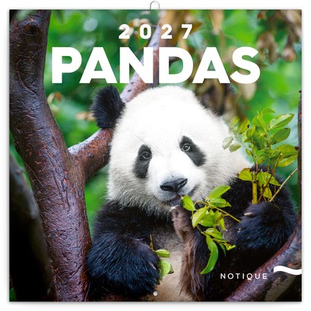 Pandas, képes lemeznaptár 2027