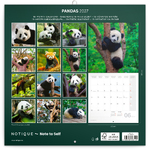Pandas, képes lemeznaptár 2027 Pandas, képes lemeznaptár 2027