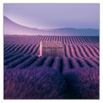 Provence, képes lemeznaptár 2027