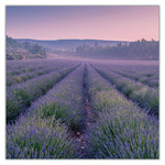 Provence, képes lemeznaptár 2027