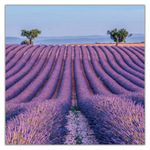 Provence, képes lemeznaptár 2027