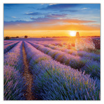 Provence, képes lemeznaptár 2027