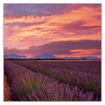 Provence, képes lemeznaptár 2027