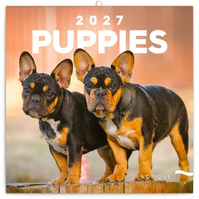 Puppies, képes lemeznaptár 2027