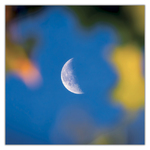 The Moon, képes lemeznaptár 2027