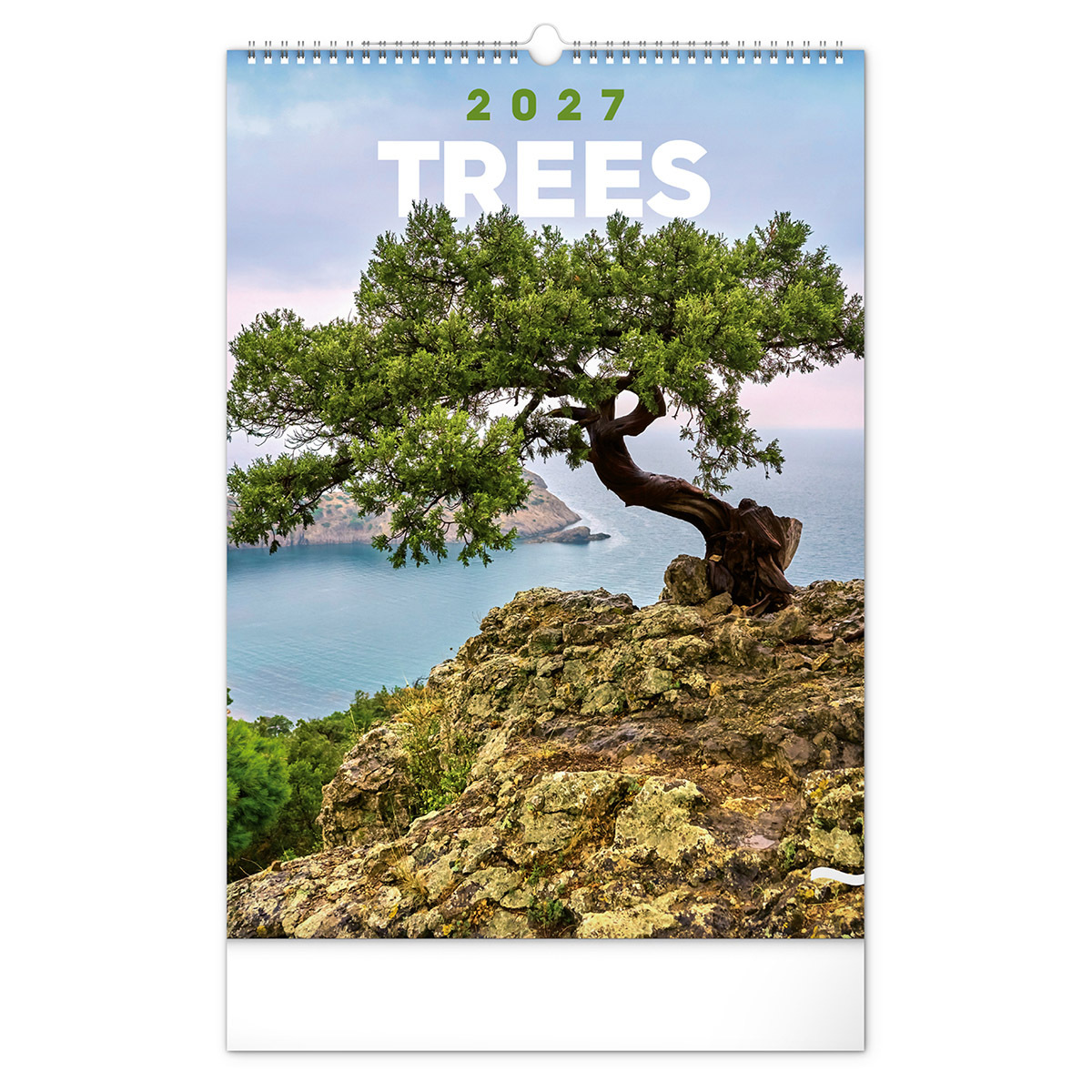 Trees, képes falinaptár 2027 Trees, képes falinaptár 2027