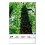 Trees, képes falinaptár 2027