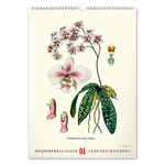 Vintage Posters - Herbarium, képes falinaptár 2027
