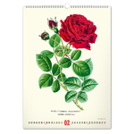 Vintage Posters - Herbarium, képes falinaptár 2027