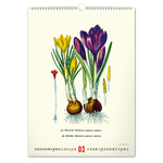 Vintage Posters - Herbarium, képes falinaptár 2027