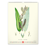 Vintage Posters - Herbarium, képes falinaptár 2027
